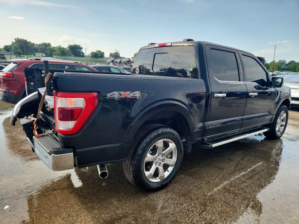 1FTFW1ED7PFB36885 2023 FORD F150 photo no. 3