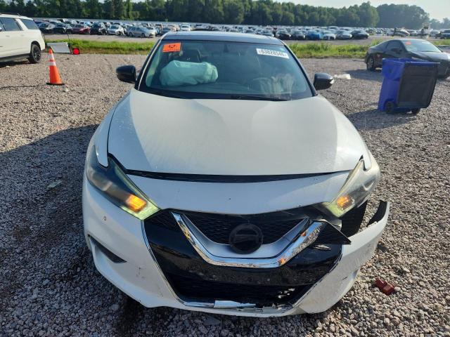 1N4AA6APXHC383753 2017 NISSAN MAXIMA photo no. 5