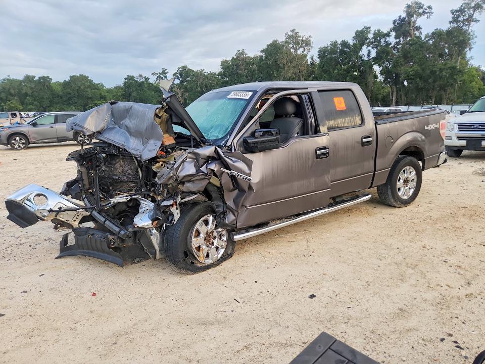 2013 FORD F150 1FTFW1EF8DKE61503