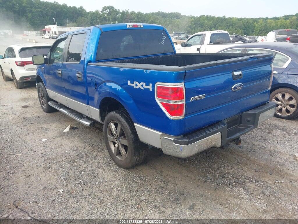 1FTEW1E86AFD49316 2010 FORD F-150 photo no. 3