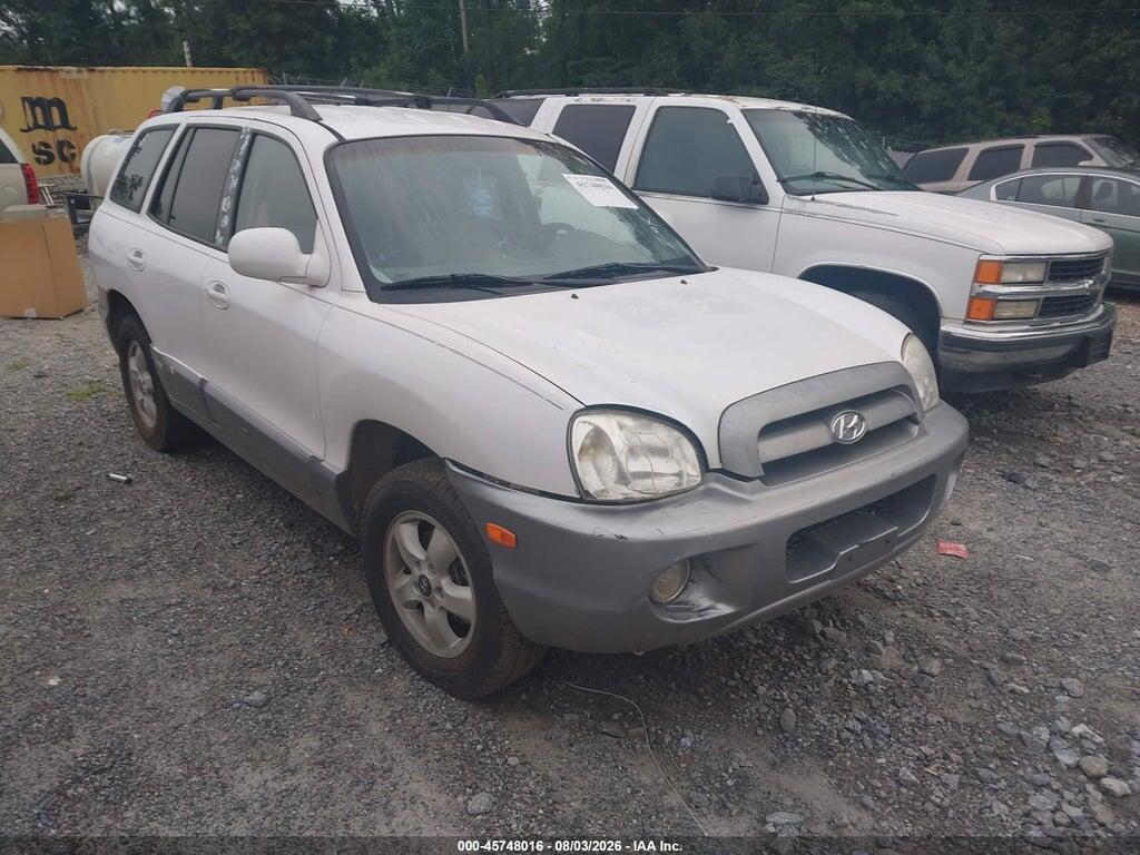 2005 HYUNDAI SANTA FE KM8SC13D55U947339