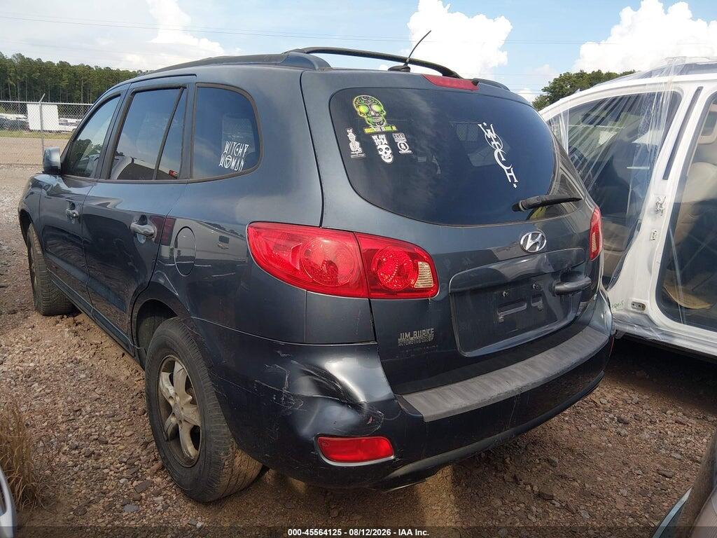 5NMSG13D67H064028 2007 HYUNDAI SANTA FE photo no. 3