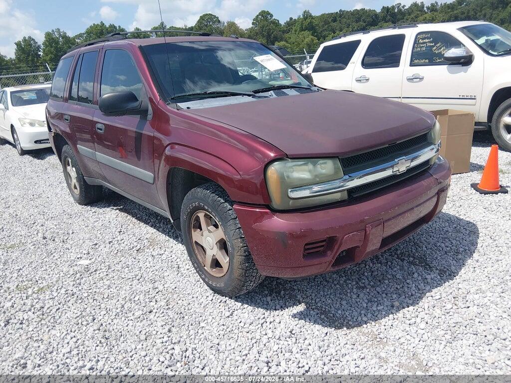 2005 CHEVROLET TRAILBLAZER 1GNDS13S252123462