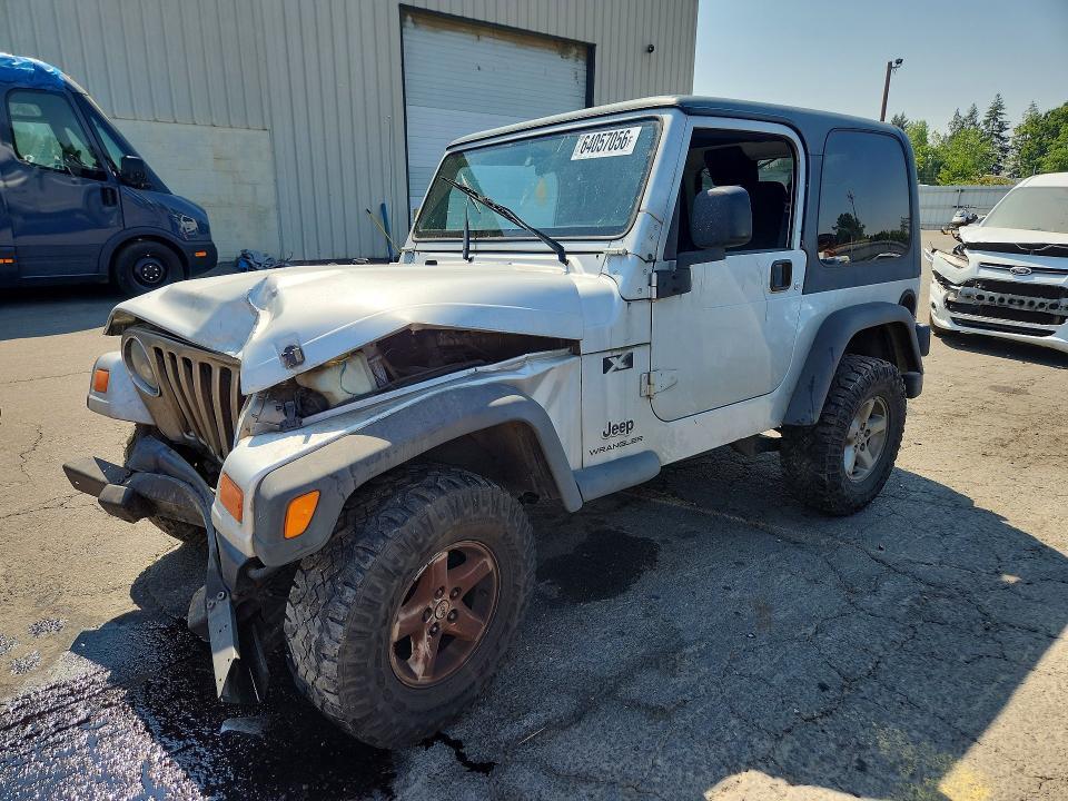 2003 JEEP WRANGLER 1J4FA39S63P343964