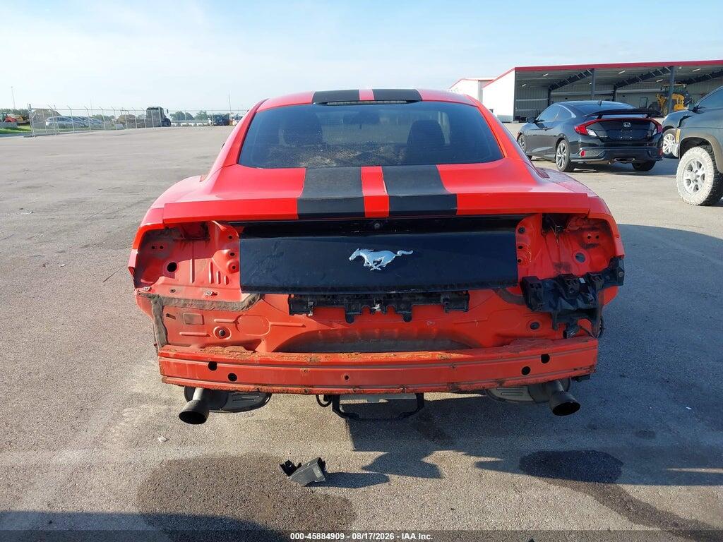 1FA6P8TH1F5395281 2015 FORD MUSTANG photo no. 6