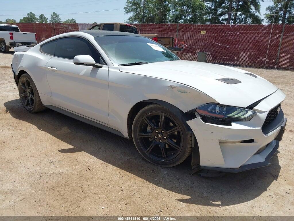 1FA6P8TH7K5186458 2019 FORD MUSTANG photo no. 1