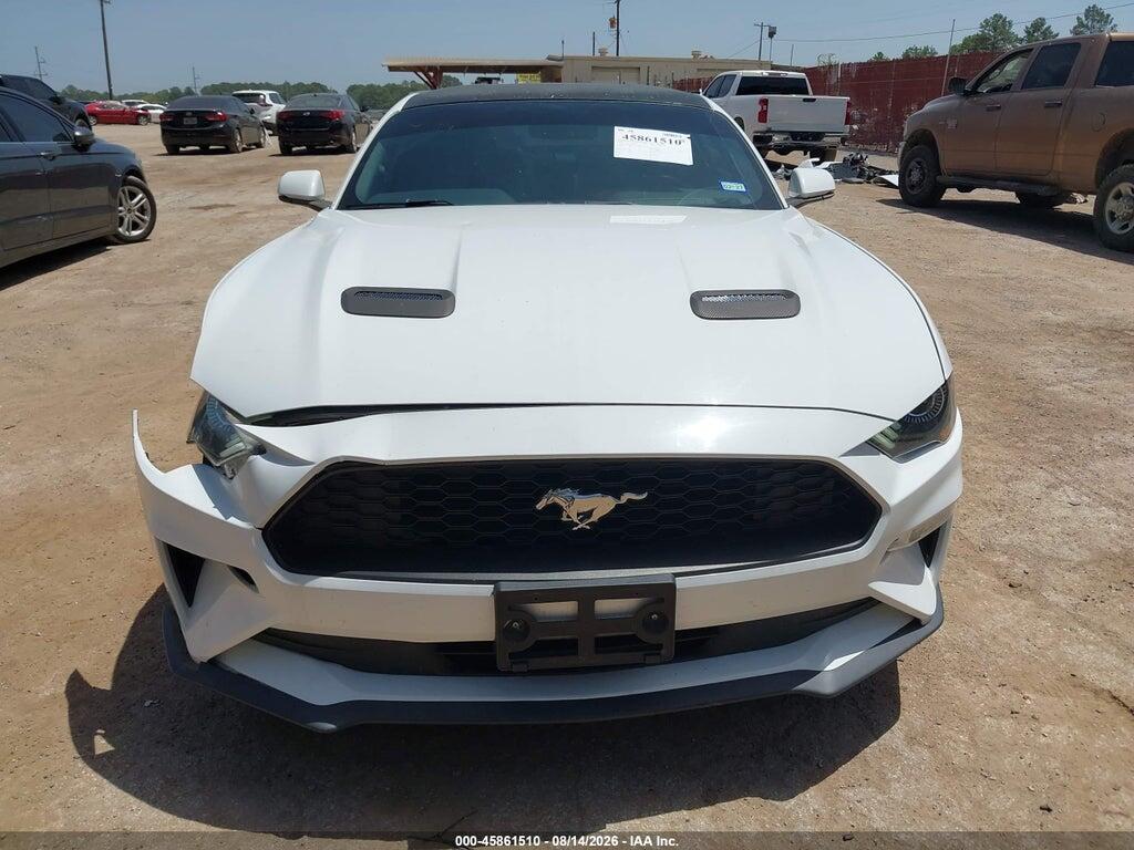 1FA6P8TH7K5186458 2019 FORD MUSTANG photo no. 12