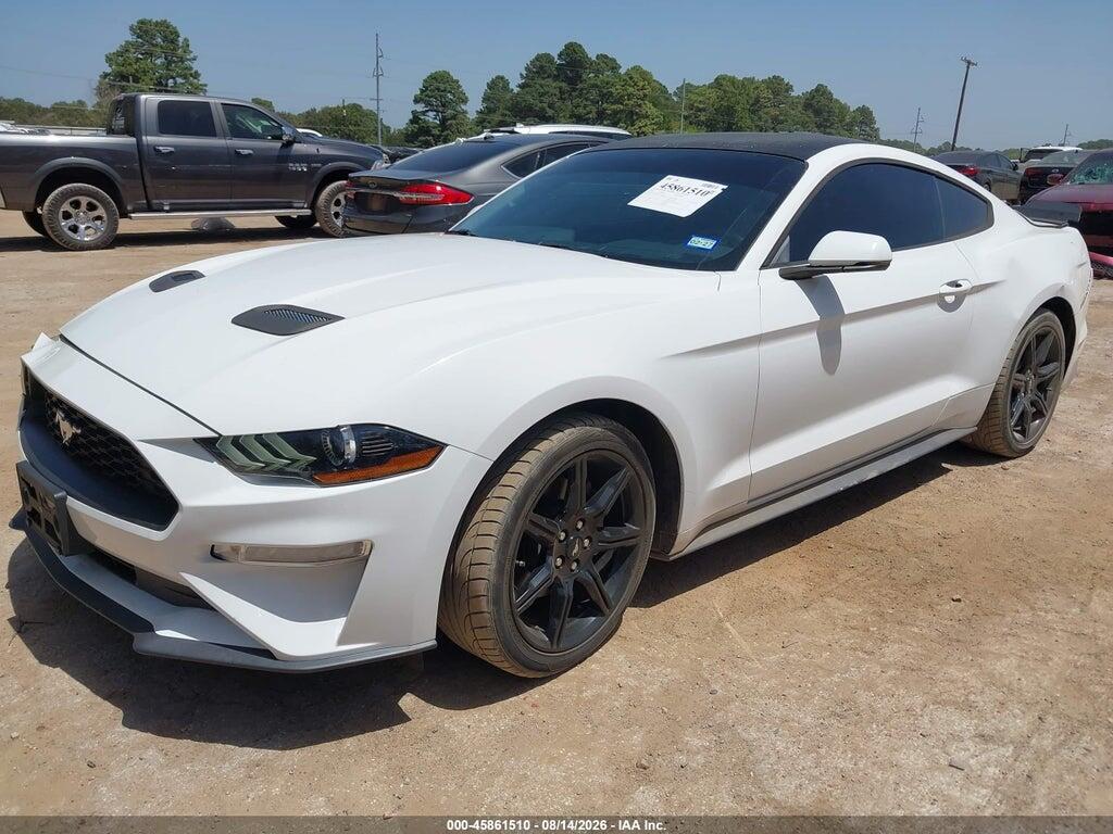 1FA6P8TH7K5186458 2019 FORD MUSTANG photo no. 2