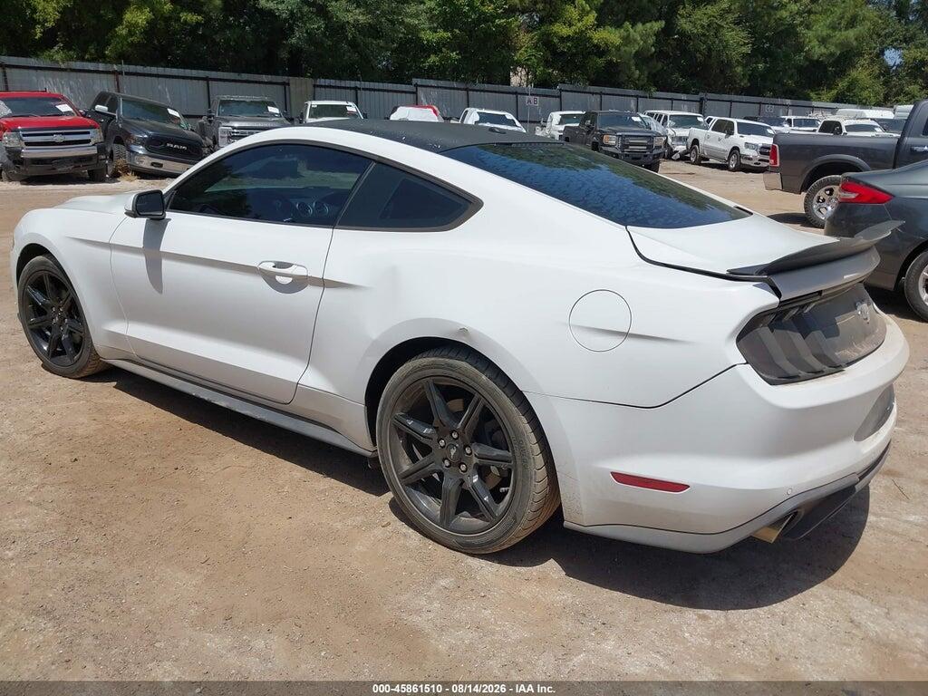1FA6P8TH7K5186458 2019 FORD MUSTANG photo no. 3