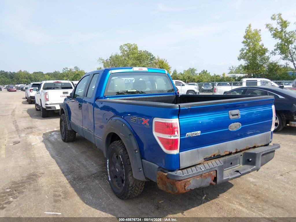 1FTEX1EW5AFB46915 2010 FORD F-150 photo no. 3