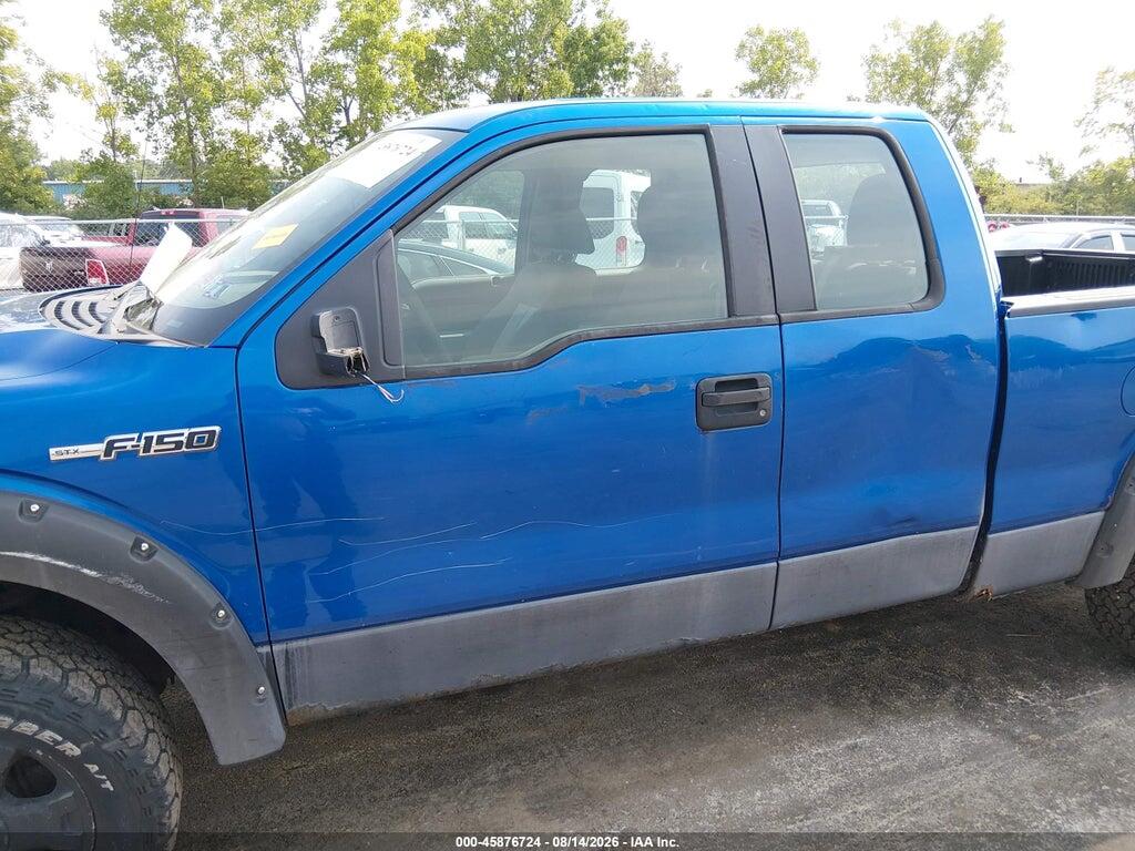 1FTEX1EW5AFB46915 2010 FORD F-150 photo no. 6