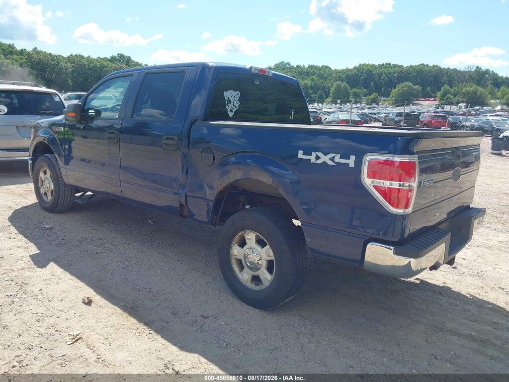 1FTEW1E87AFB91147 2010 FORD F-150 photo no. 3