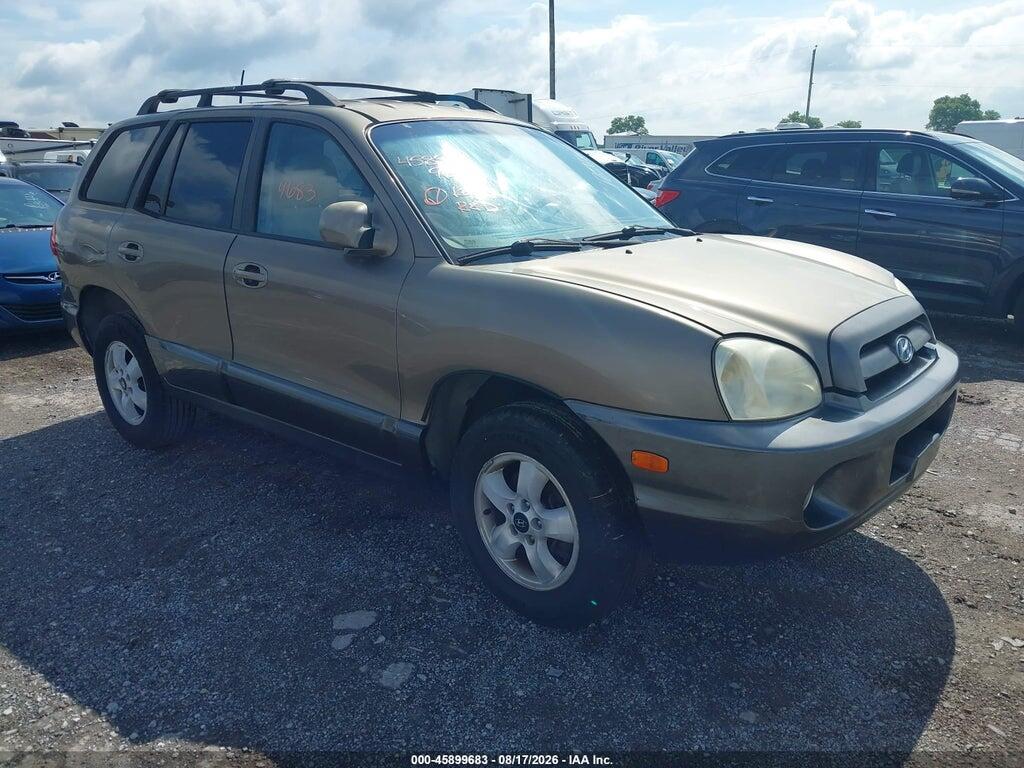 2006 HYUNDAI SANTA FE KM8SC13E36U069386
