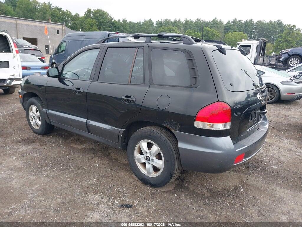 KM8SC73D45U932091 2005 HYUNDAI SANTA FE photo no. 3