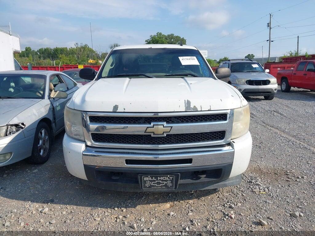 3GCRCSE09AG201637 2010 CHEVROLET SILVERADO 1500 photo no. 12