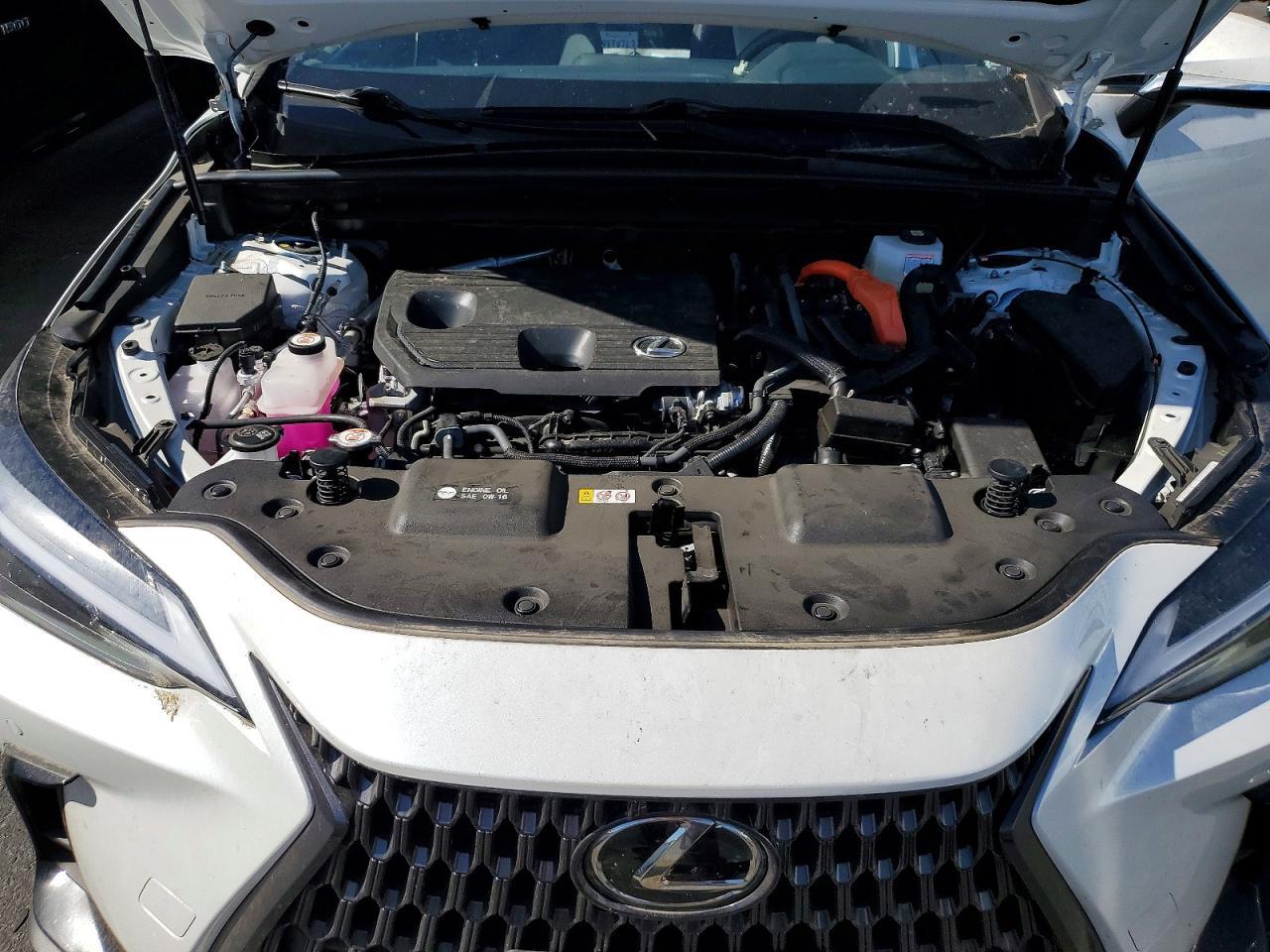 2025 LEXUS NX 350H PREMIUM — Фото 12 из 14