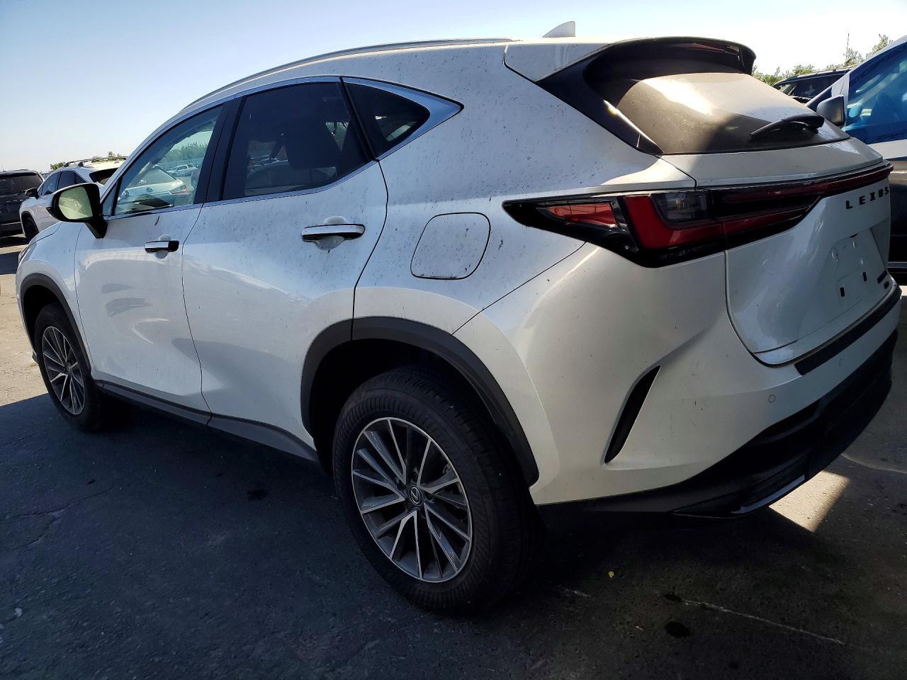 2025 LEXUS NX 350H PREMIUM — Фото 2 из 14