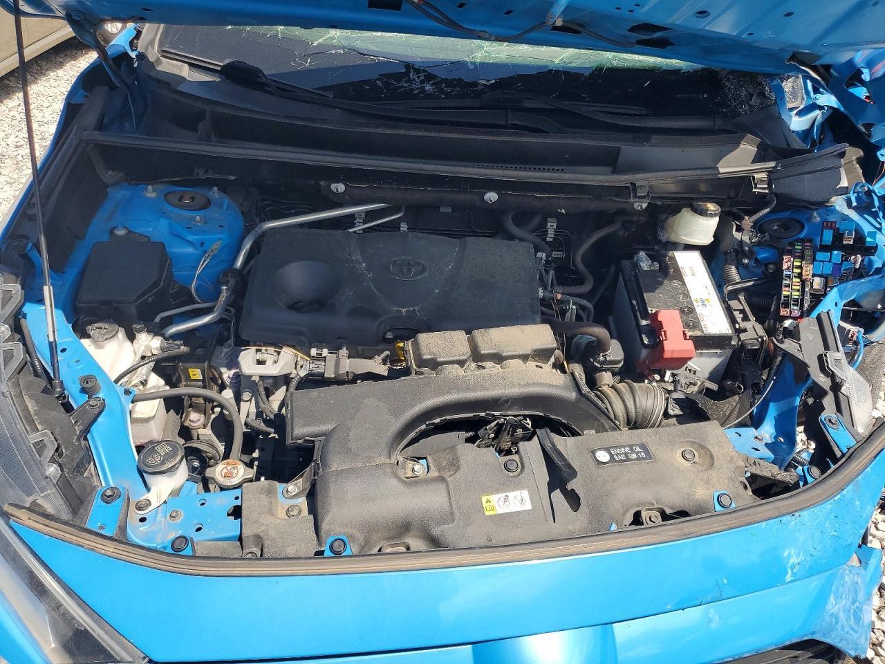 2019 TOYOTA RAV4 XLE — Фото 12 из 13