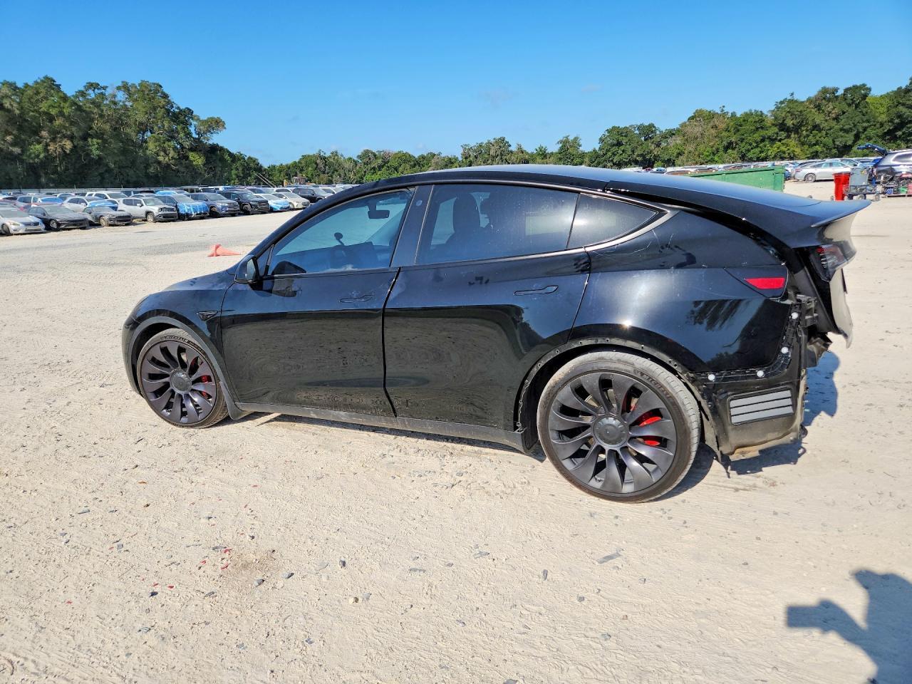 2021 TESLA MODEL Y — Фото 2 из 13