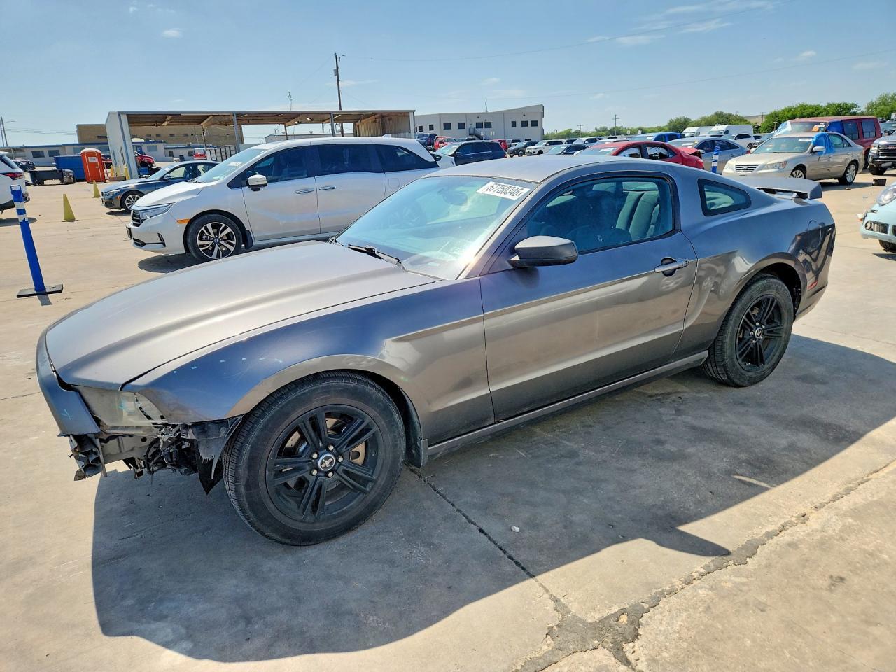 1ZVBP8AM7E5328981 2014 FORD MUSTANG photo no. 1