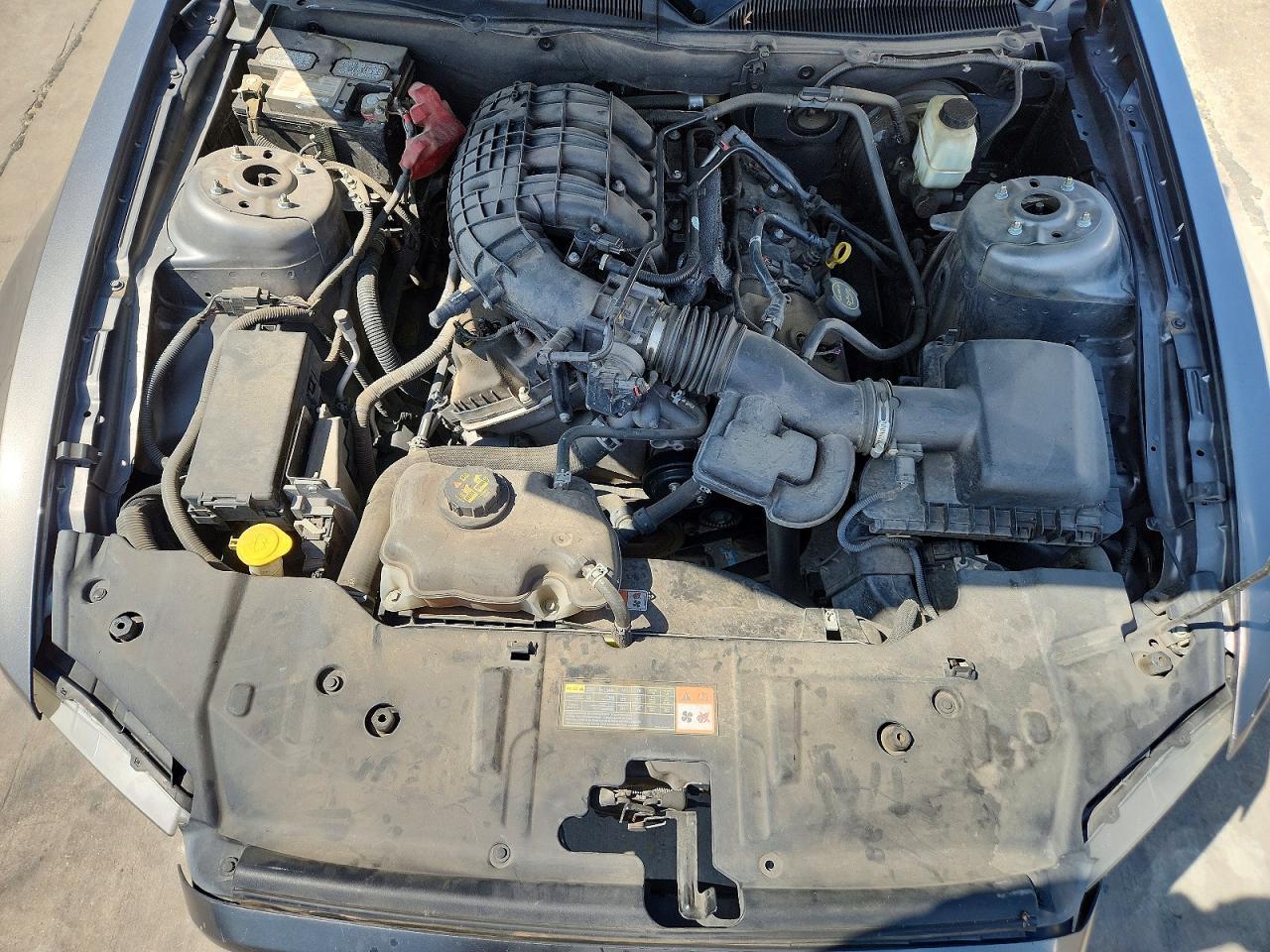 1ZVBP8AM7E5328981 2014 FORD MUSTANG photo no. 11