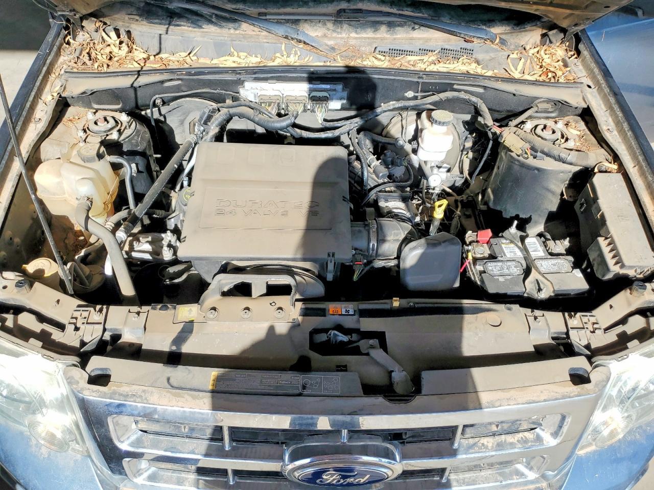 2011 FORD ESCAPE XLT — Фото 11 из 12