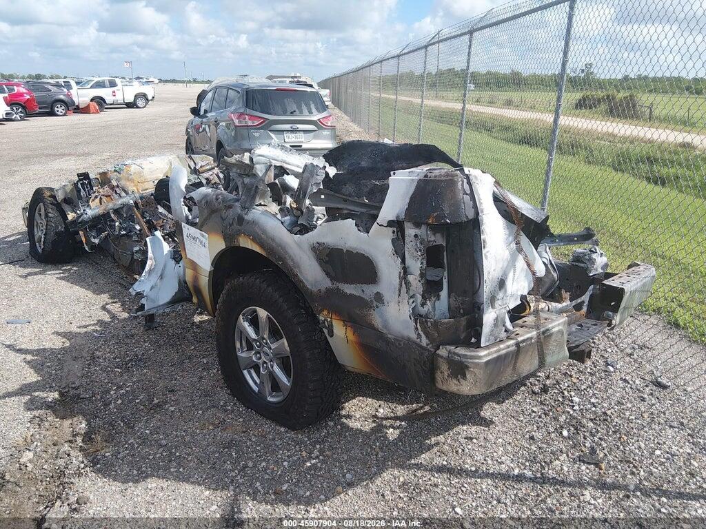 1FTEW1CB1KKC92935 2019 FORD F-150 photo no. 3