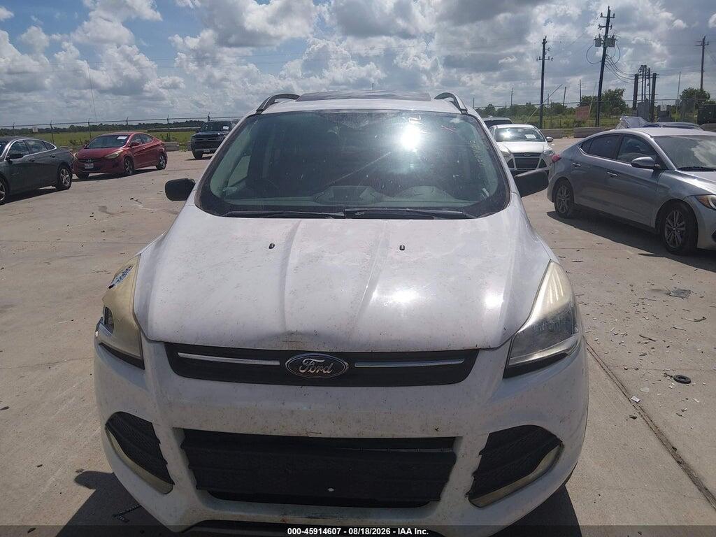 1FMCU0GX1EUC47009 2014 FORD ESCAPE photo no. 6