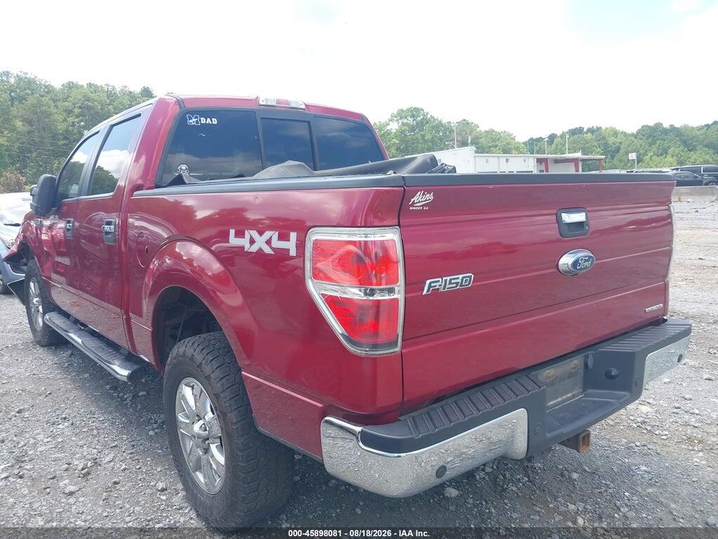 1FTFW1EF8DFA66763 2013 FORD F-150 photo no. 3