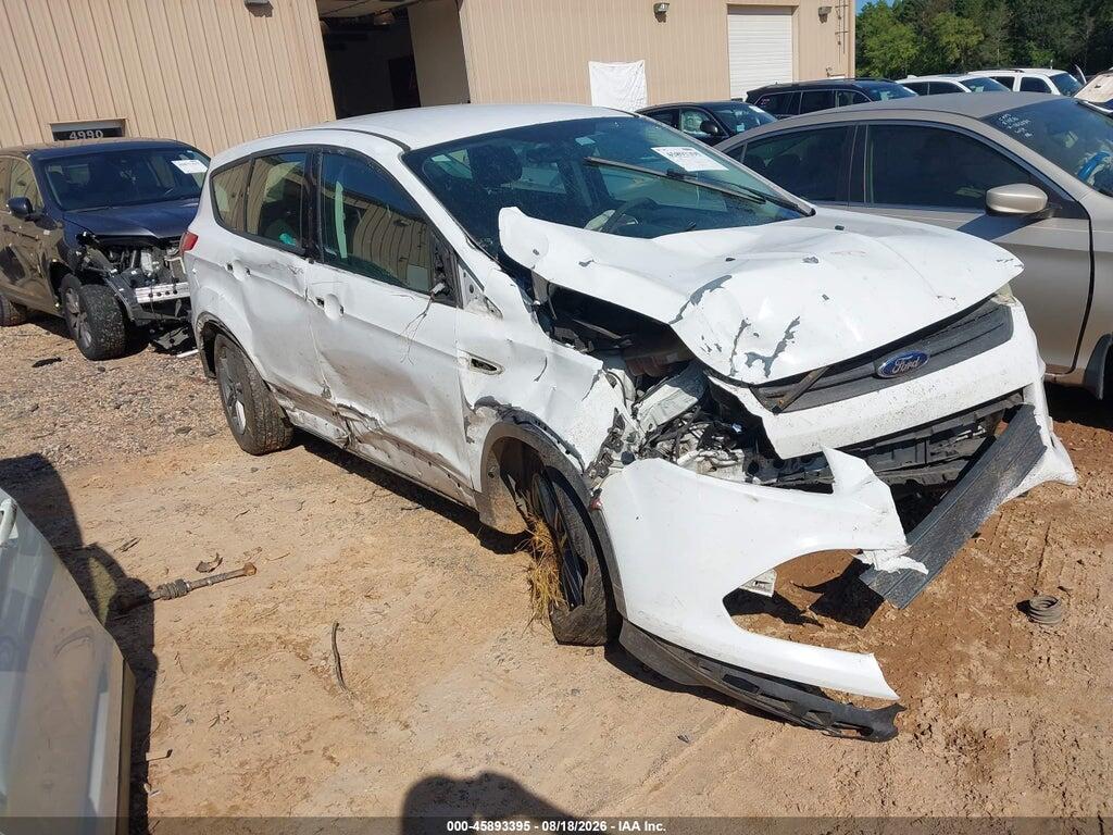 1FMCU0F76DUB36035 2013 FORD ESCAPE photo no. 1