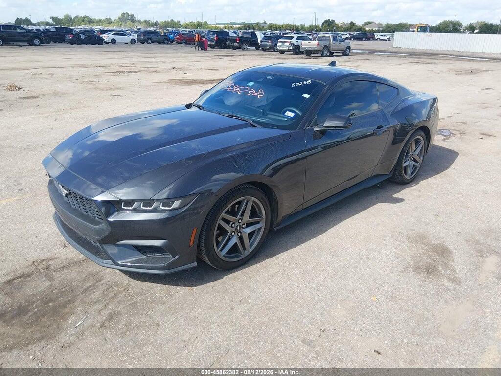 1FA6P8TH2R5134536 2024 FORD MUSTANG photo no. 2