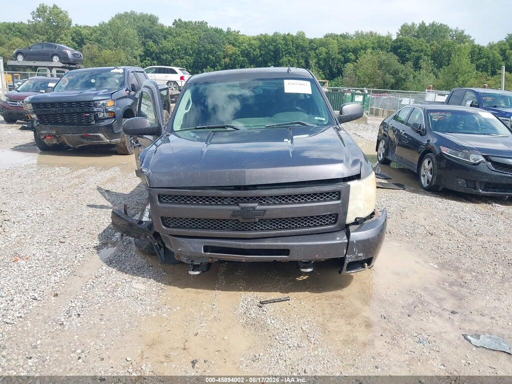 1GCSKSE34AZ176970 2010 CHEVROLET SILVERADO 1500 photo no. 12