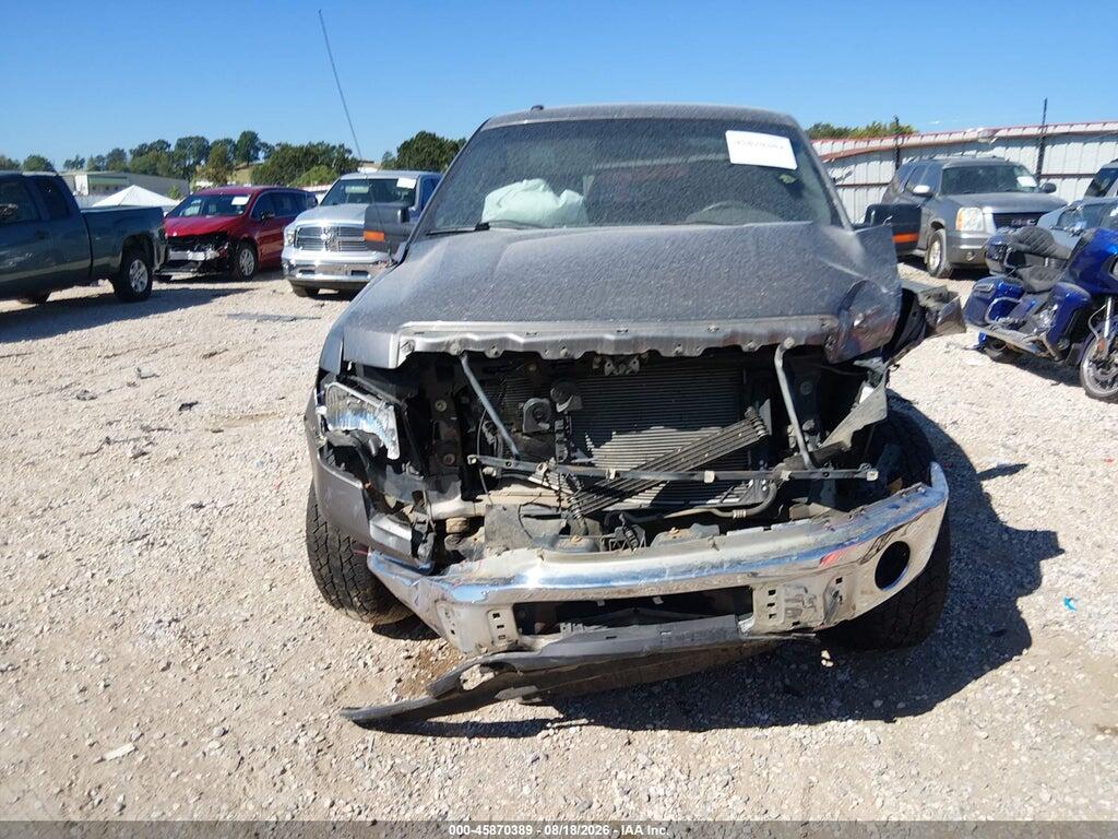 1FTFW1EV3AFC64735 2010 FORD F-150 photo no. 12