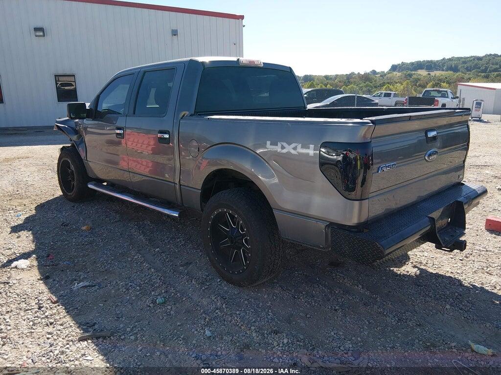 1FTFW1EV3AFC64735 2010 FORD F-150 photo no. 3