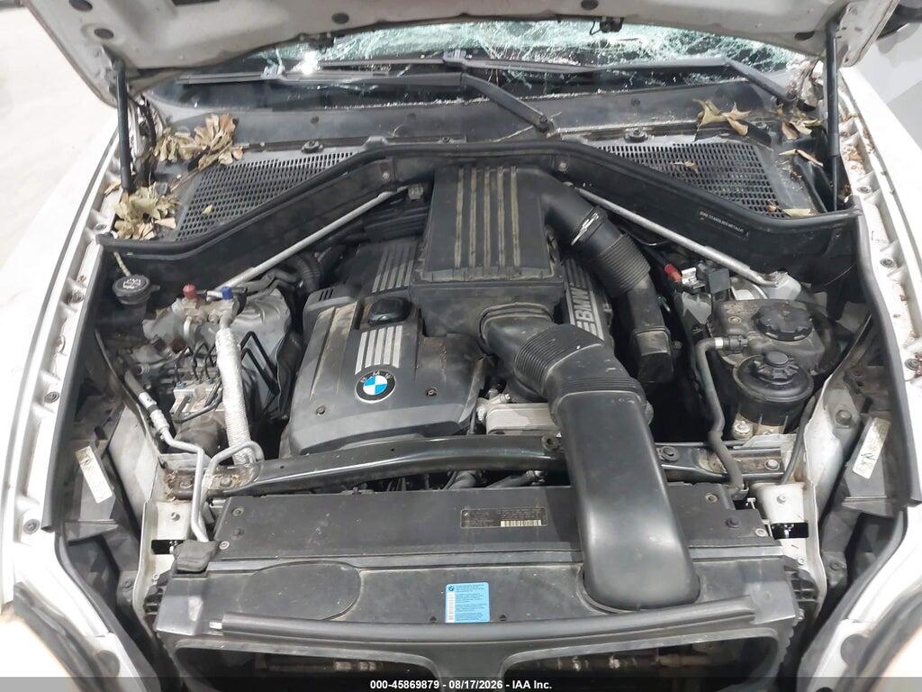 5UXFE43589L266256 2009 BMW X5 photo no. 10