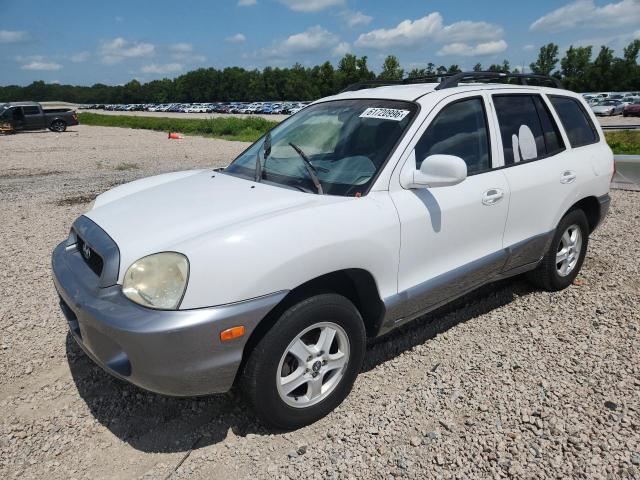 2004 HYUNDAI SANTA FE KM8SC13D74U699528