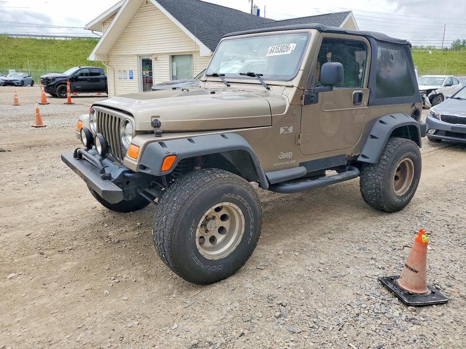 2004 JEEP WRANGLER 1J4FA39S34P793055