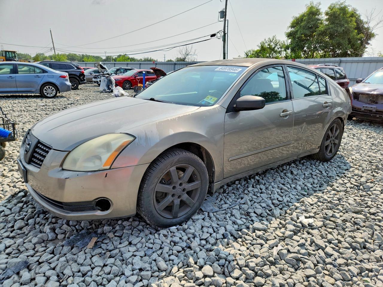 2004 NISSAN MAXIMA 1N4BA41E74C833893