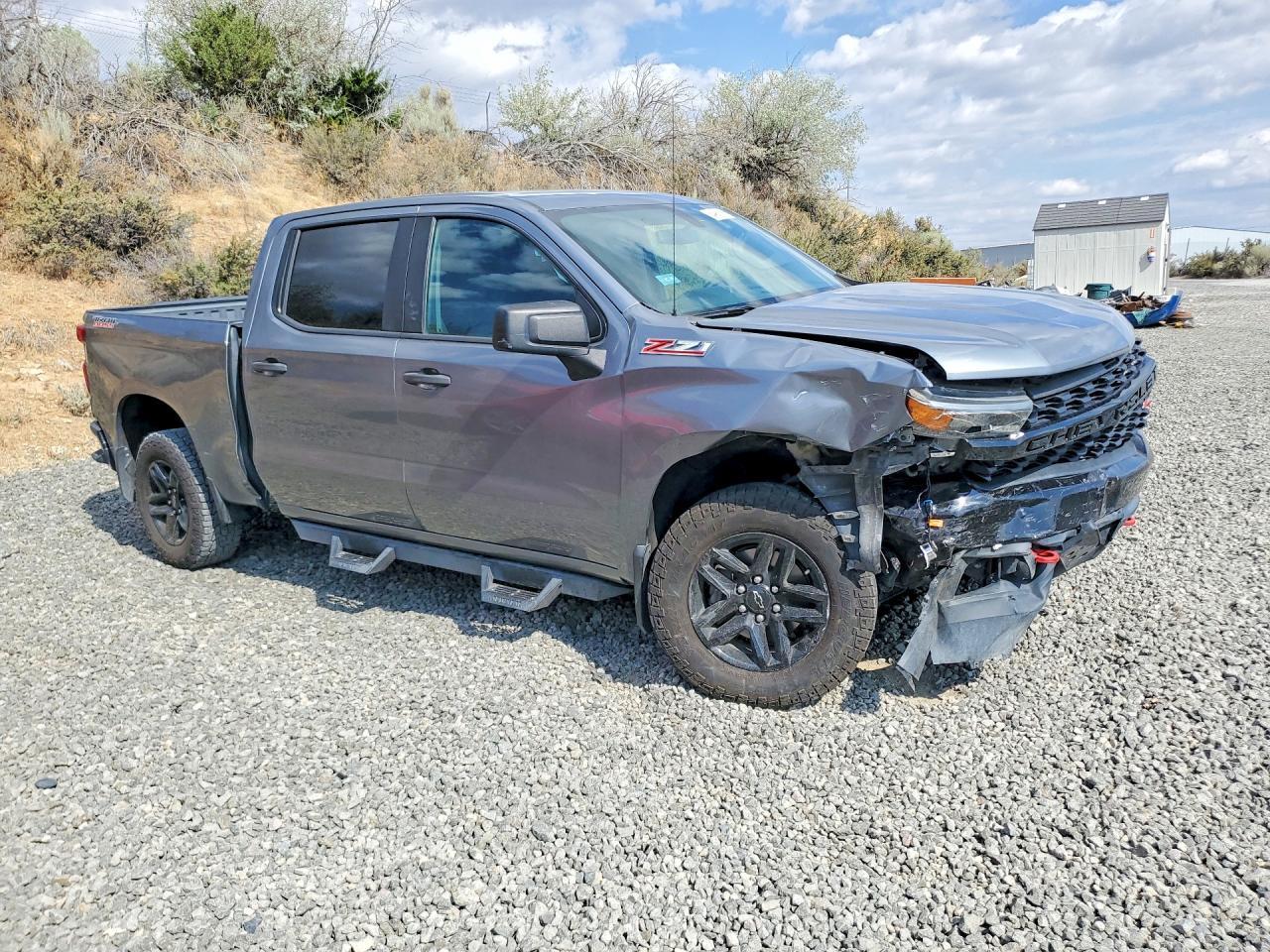 2020 CHEVROLET SILVERADO K1500 TRAIL BOSS CUSTOM — Фото 4 из 12
