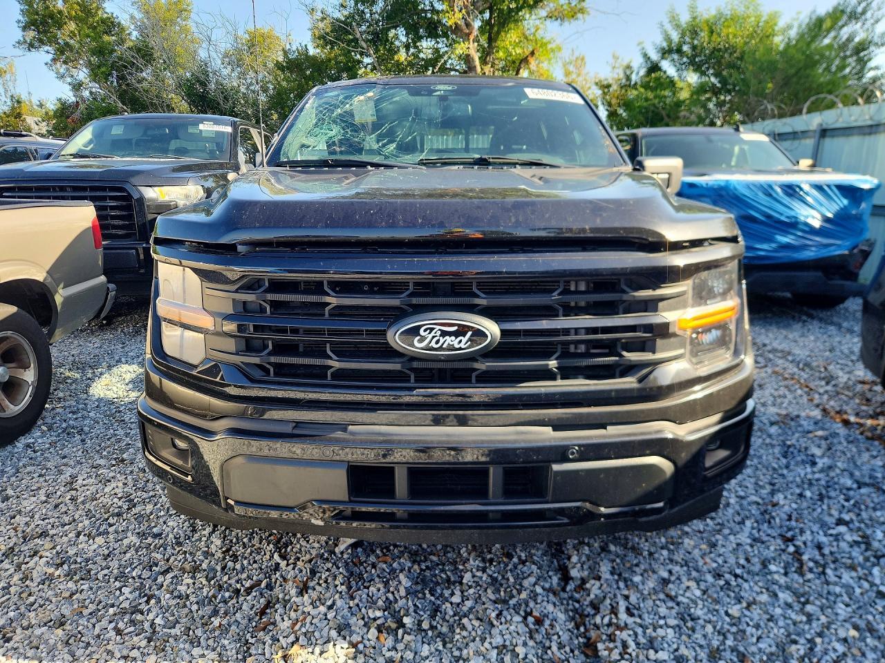 2024 FORD F150 XLT — Фото 5 из 12