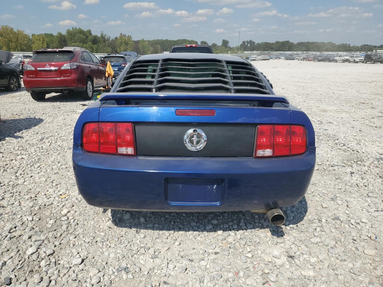 1ZVFT80N155253105 2005 FORD MUSTANG photo no. 6