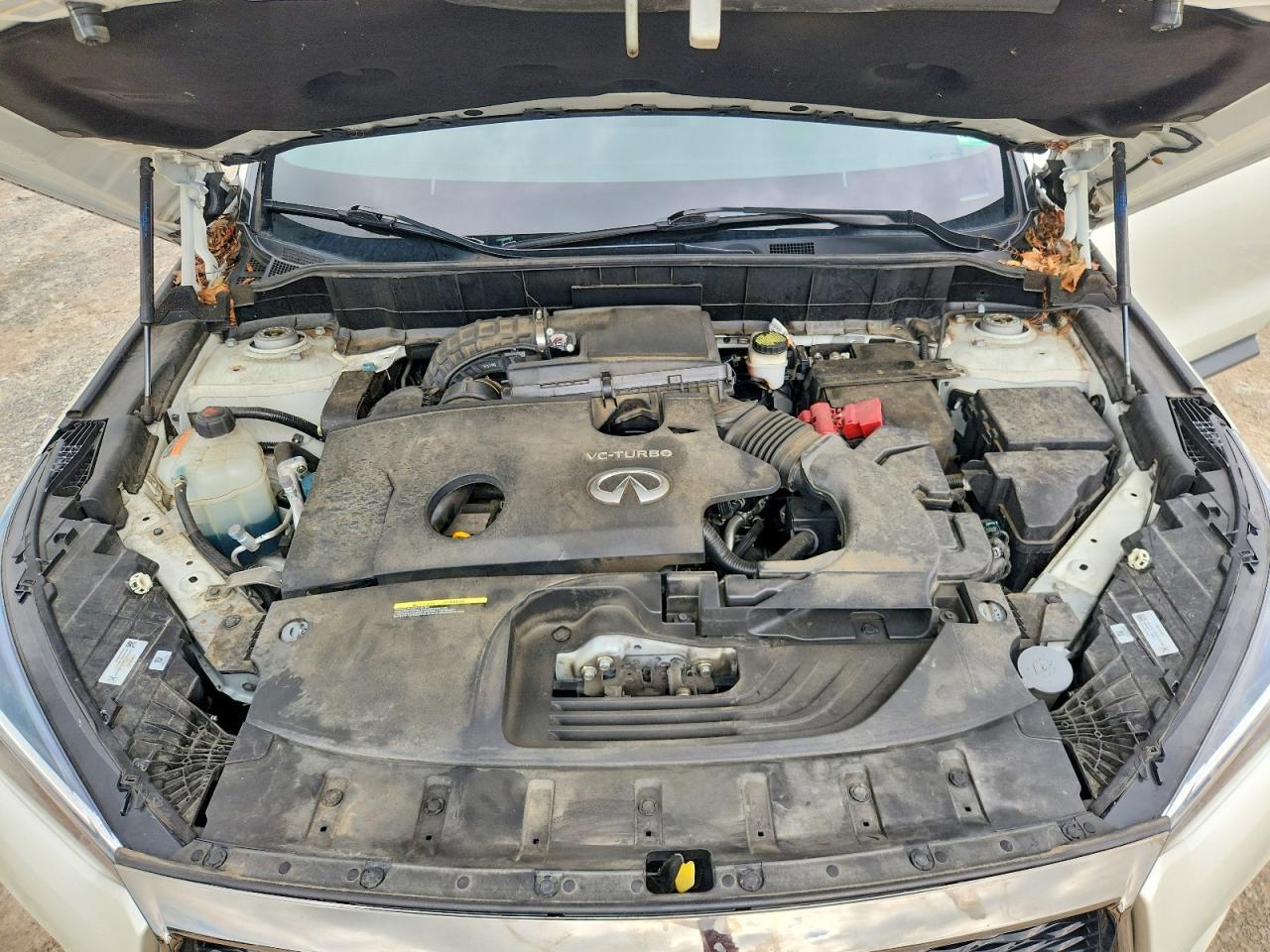2020 INFINITI QX50 ESSENTIAL — Фото 12 из 13
