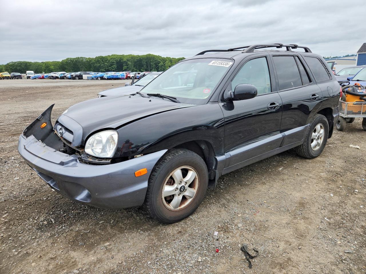 2006 HYUNDAI SANTA FE KM8SC13D06U091675