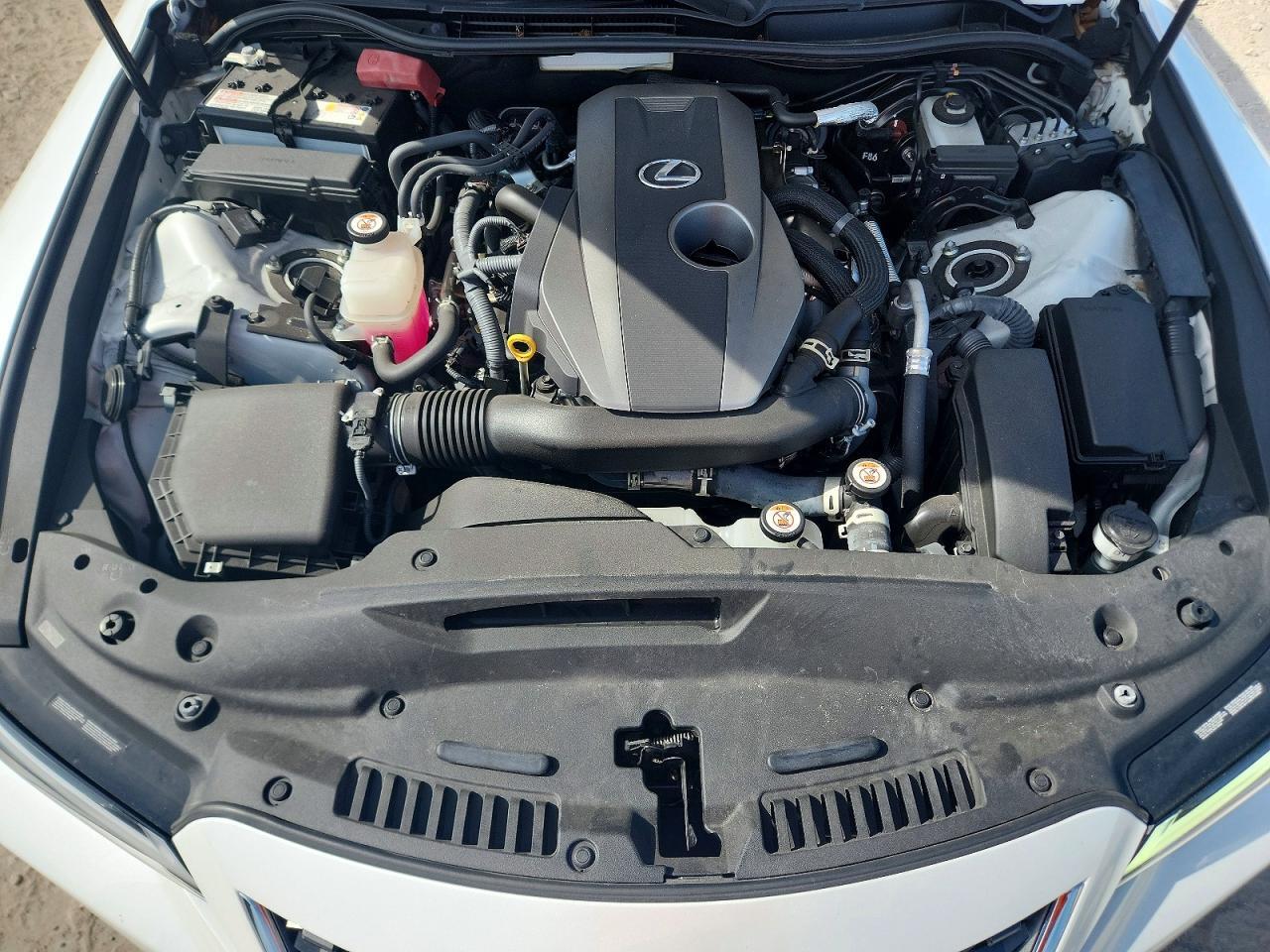 2024 LEXUS IS 300 BASE — Фото 11 из 13