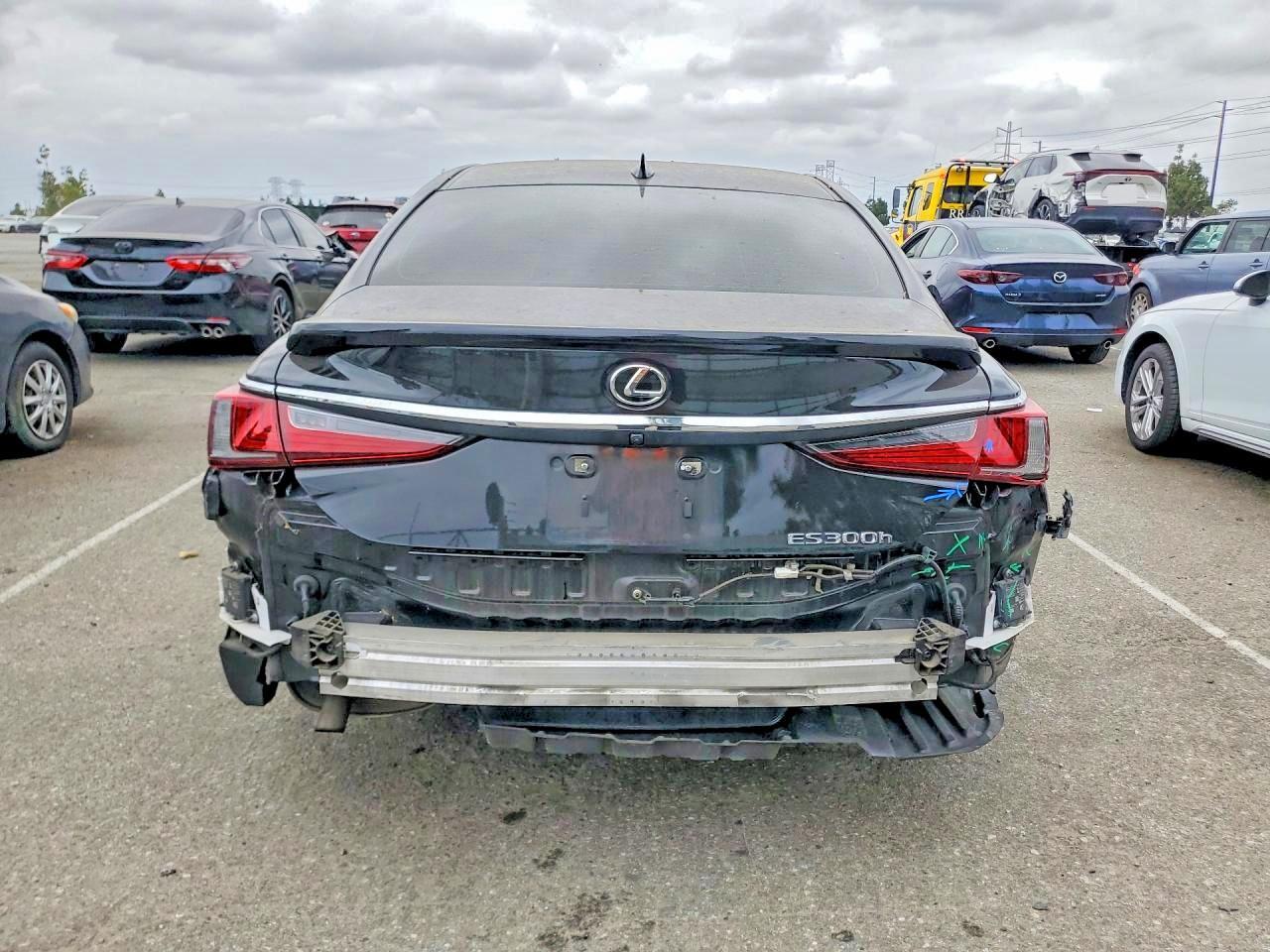 2024 LEXUS ES 300H BASE — Фото 6 из 13