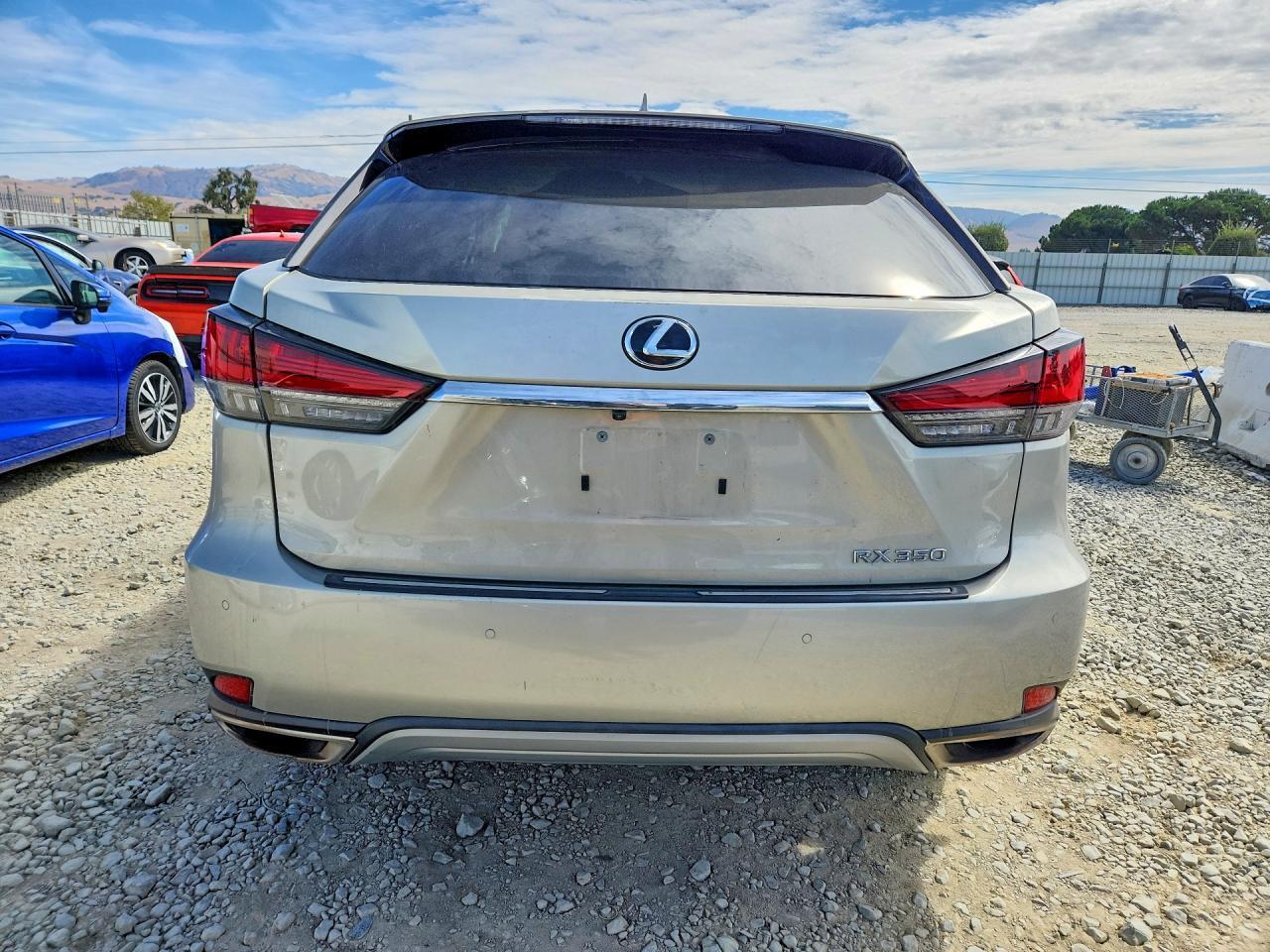 2020 LEXUS RX 350 — Фото 6 из 14