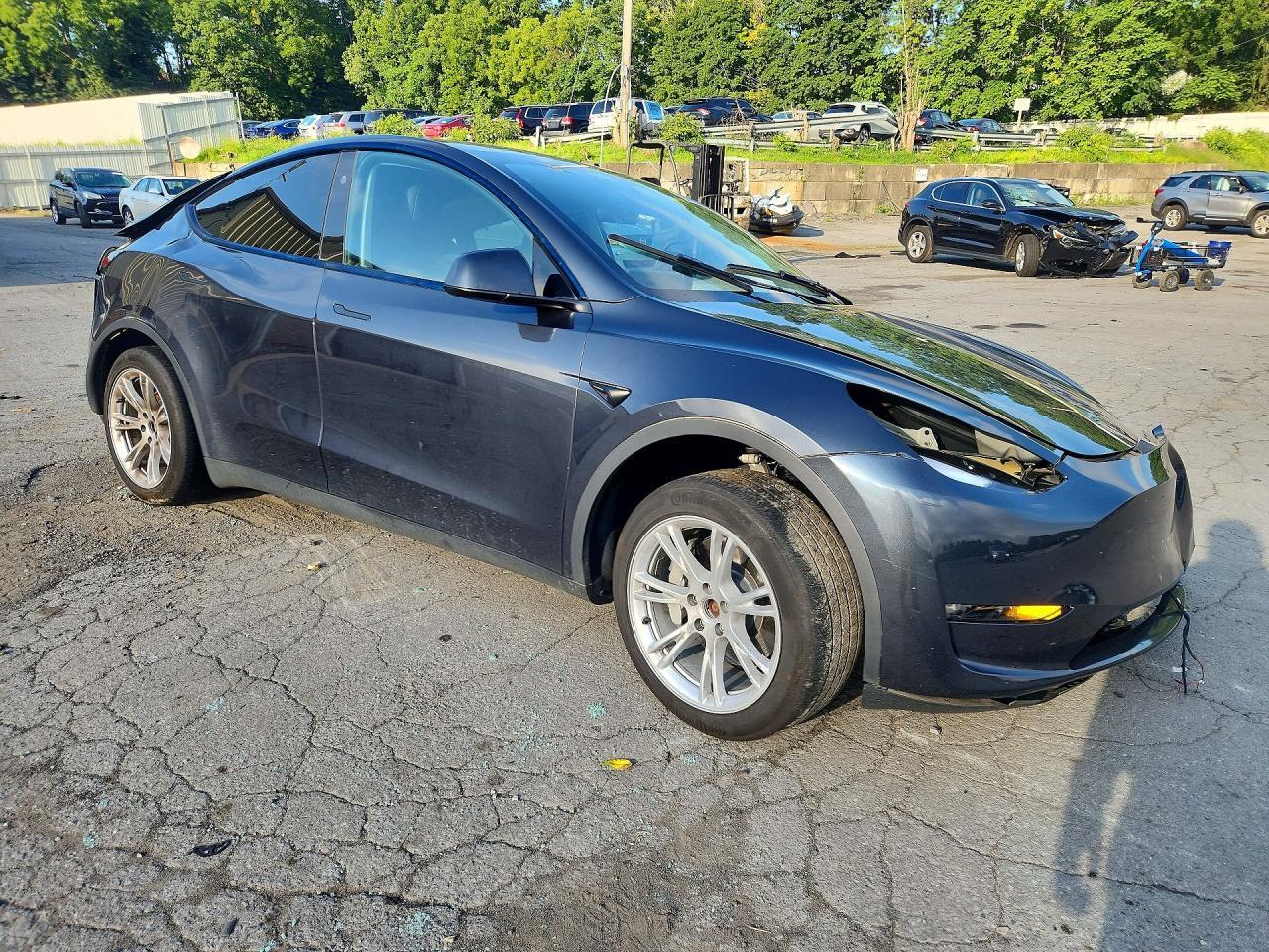 2024 TESLA MODEL Y — Фото 4 из 14