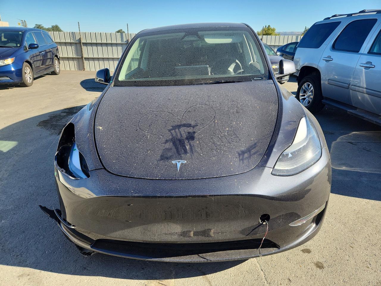 2024 TESLA MODEL Y — Фото 5 из 12