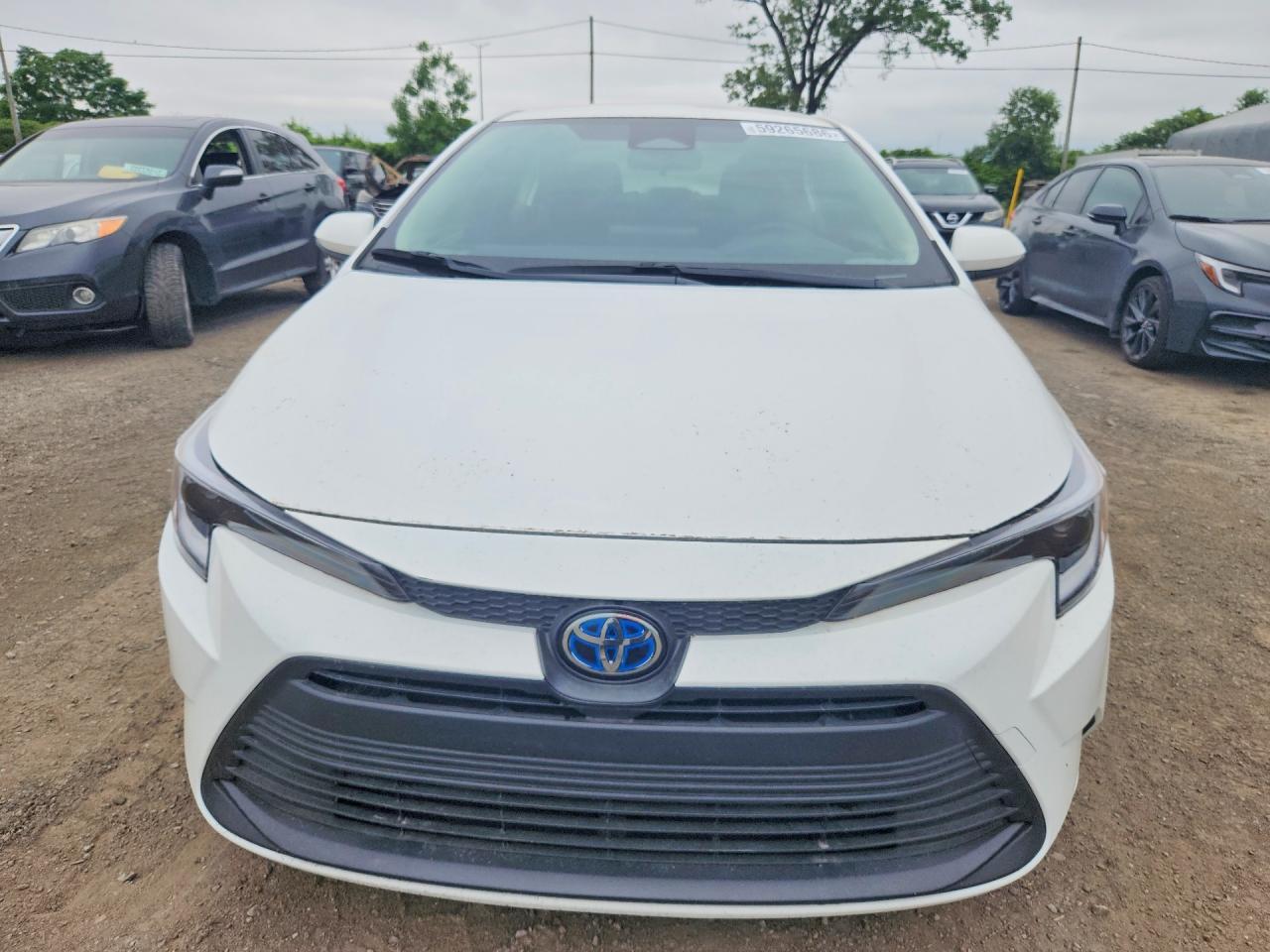 2024 TOYOTA COROLLA HYBRID LE — Фото 5 из 12
