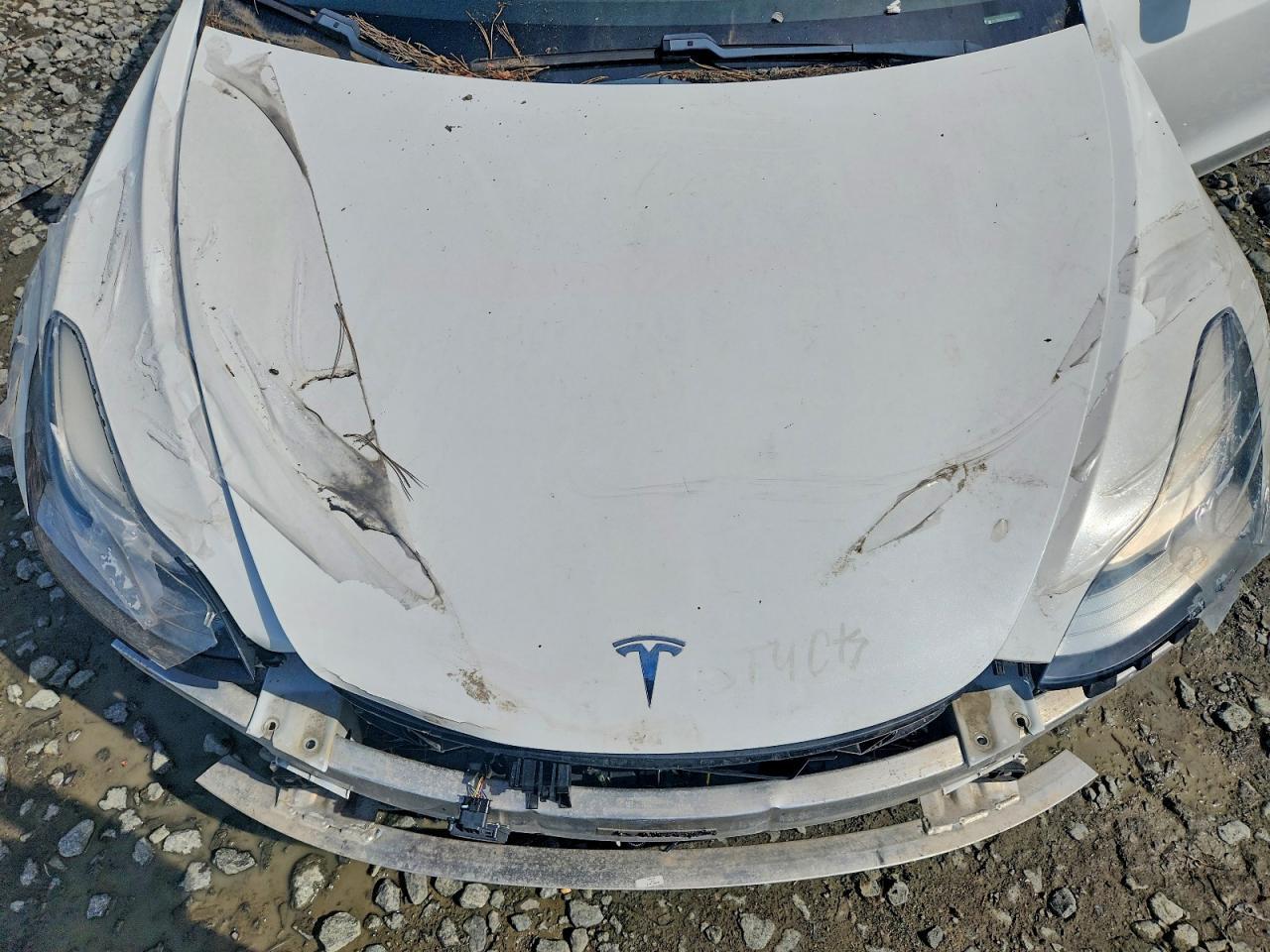2020 TESLA MODEL 3 — Фото 11 из 12